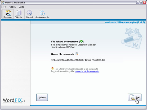 Cliccare su “Apri” per visualizzare il file recuperato in MS Word.