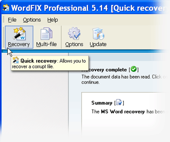 Full WordFIX Data Recovery screenshot