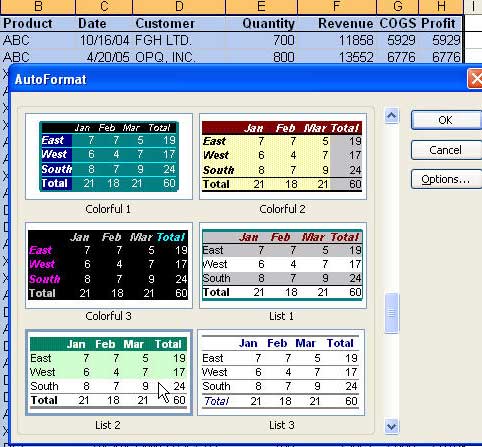 report formats in excel